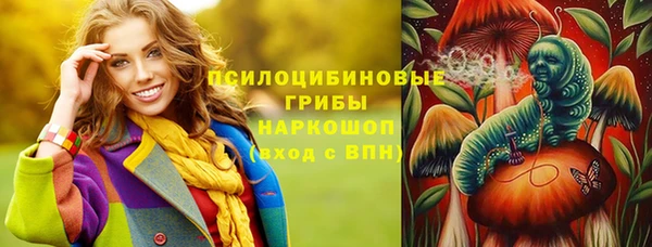 круглые Аркадак