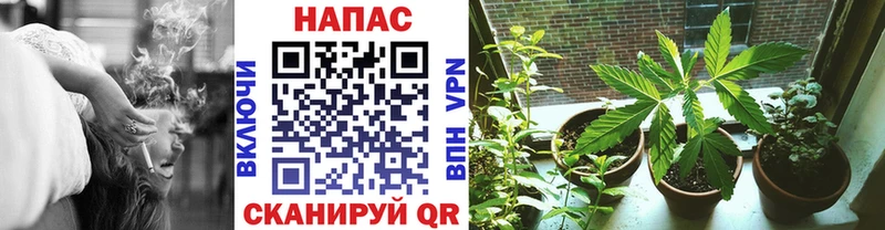 Конопля VHQ  Шали 